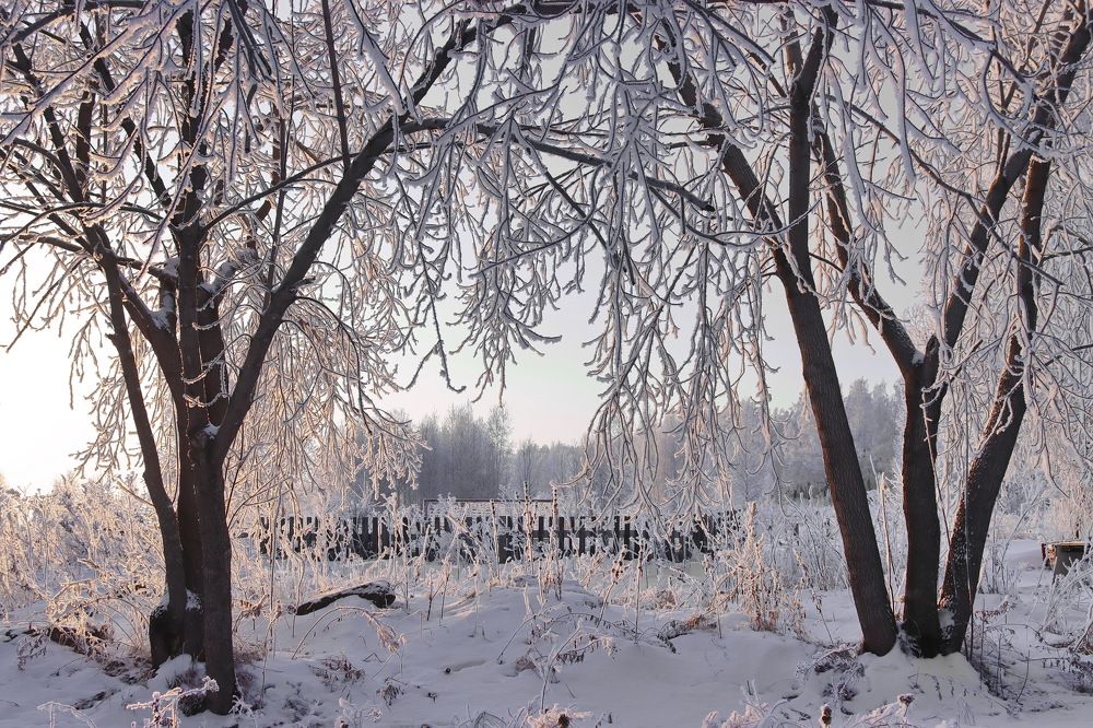 Снежная арка.
