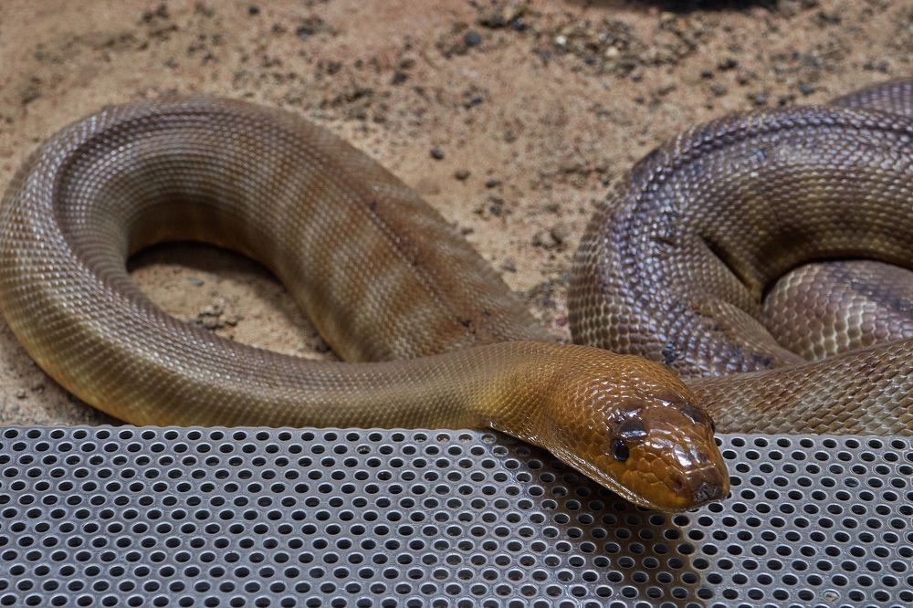 Фотография автора Ekaterina Palant