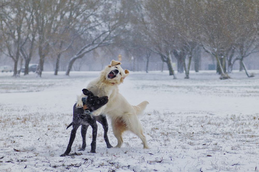 Photograph by Yana Egorova