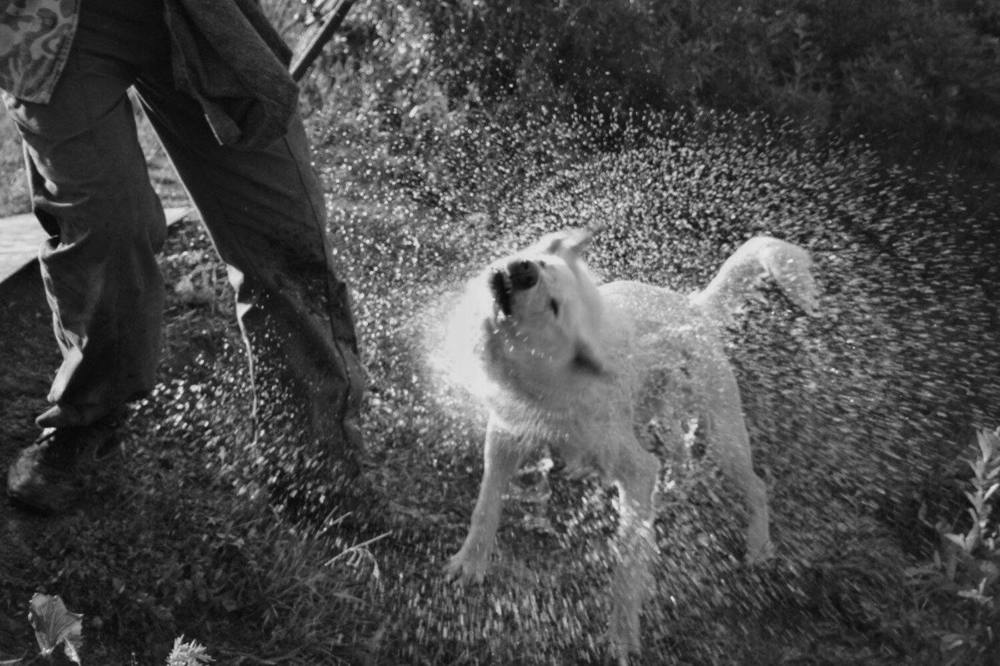 Photograph by Анастасия Иванцова