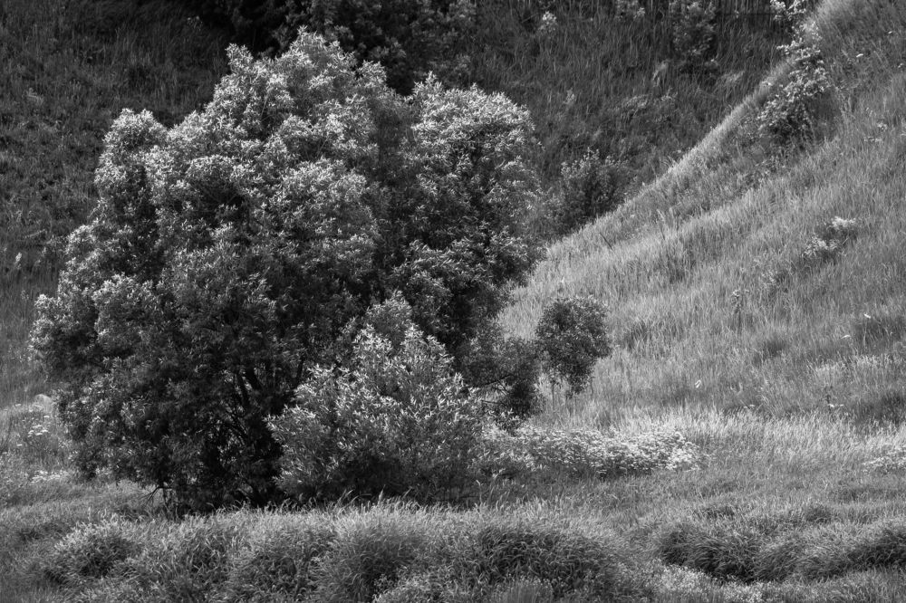 Photograph by Соварцева Ксения