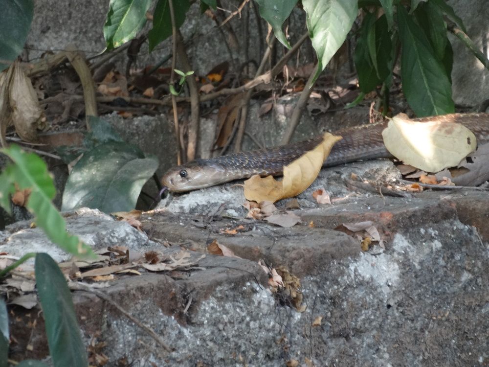 Photograph by Виктор Бута