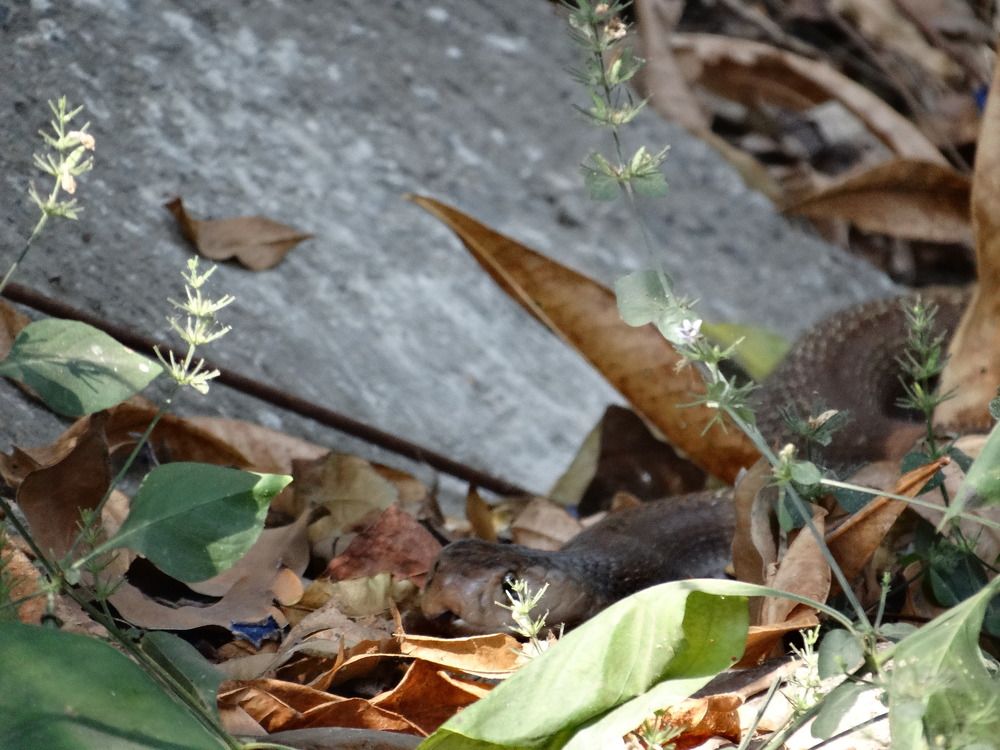Photograph by Виктор Бута