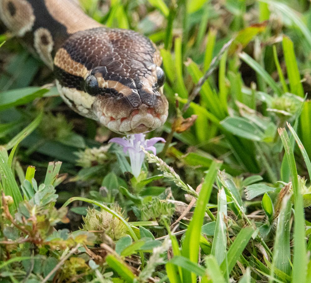 Photograph by Андрей Кротов