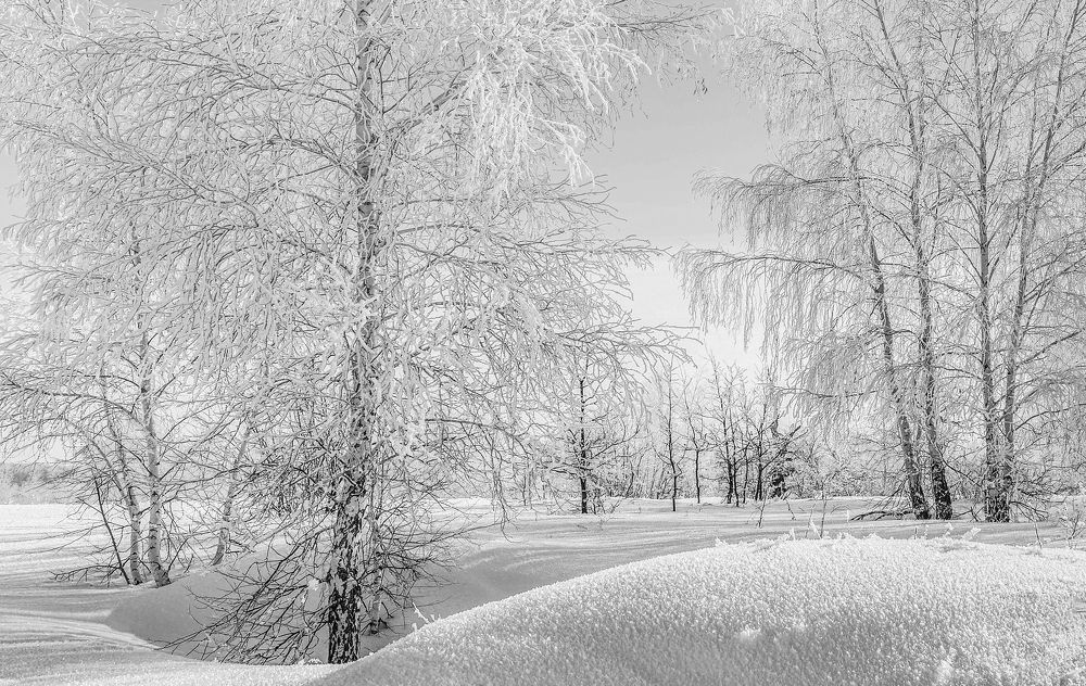 Морозный день