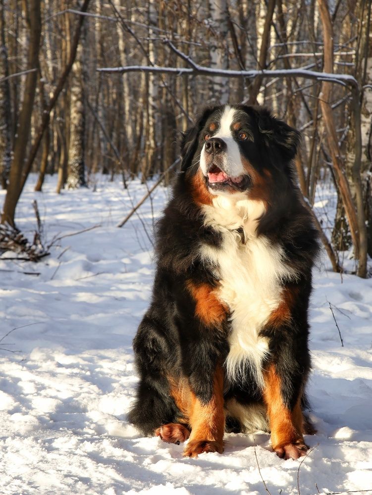 Photograph by Angelica Medvedeva