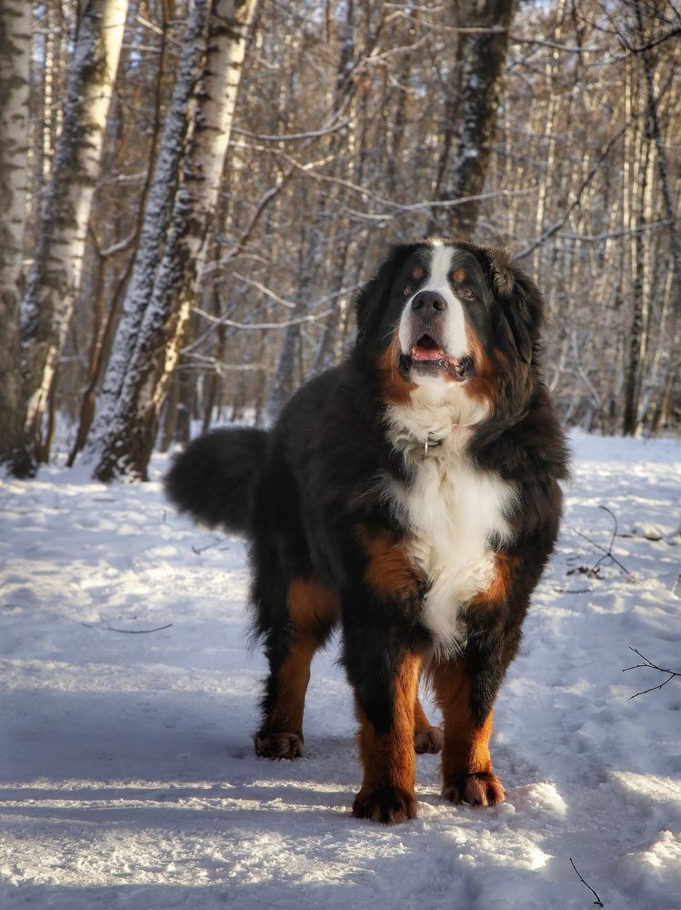 Photograph by Angelica Medvedeva