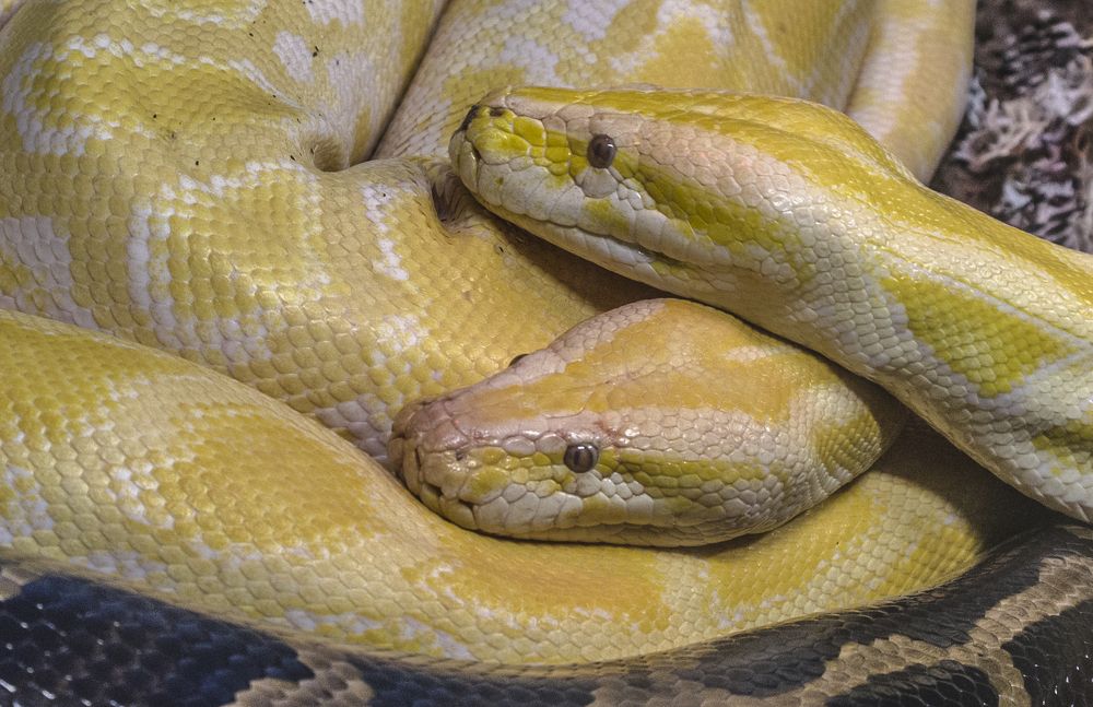 Photograph by Михаил Измайлов