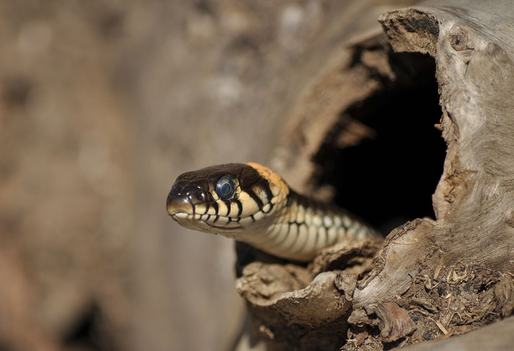 Photograph by Рыболов Андрей