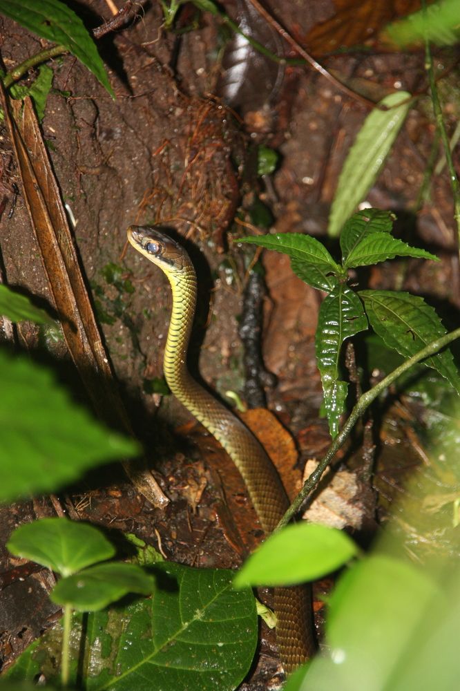 Фотография автора Марина Алексеевская