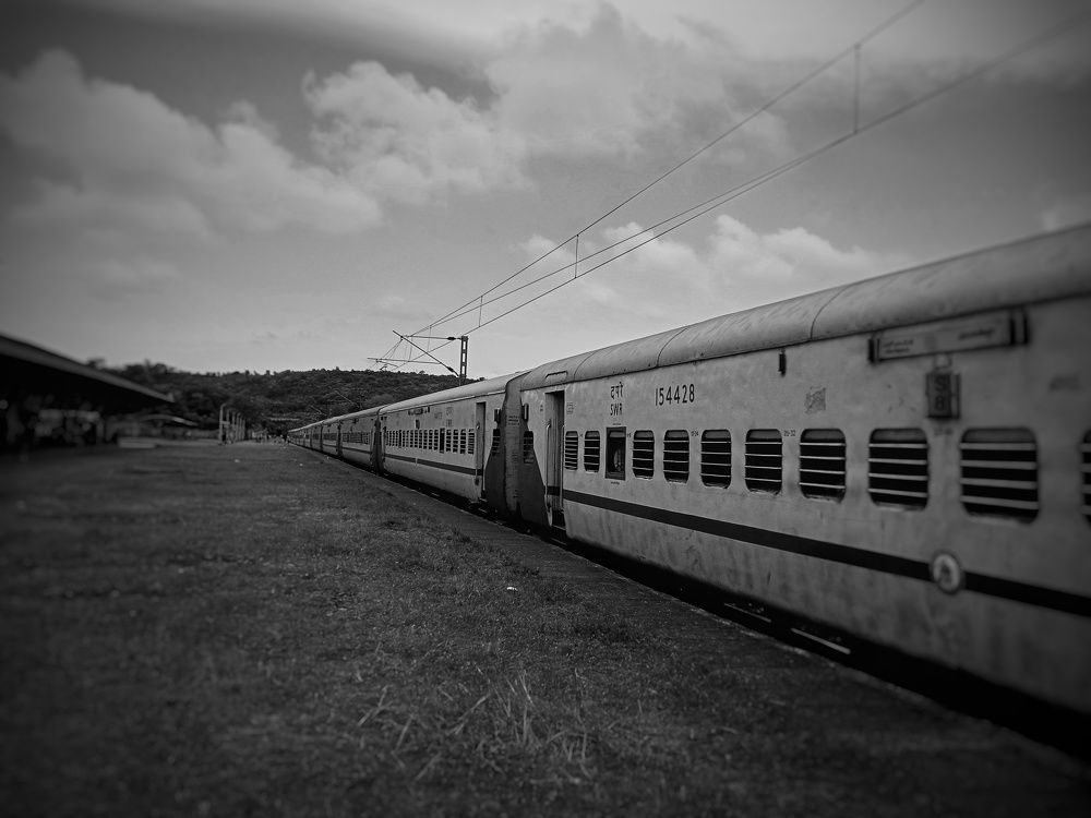 Timeless Journey in Black and White A