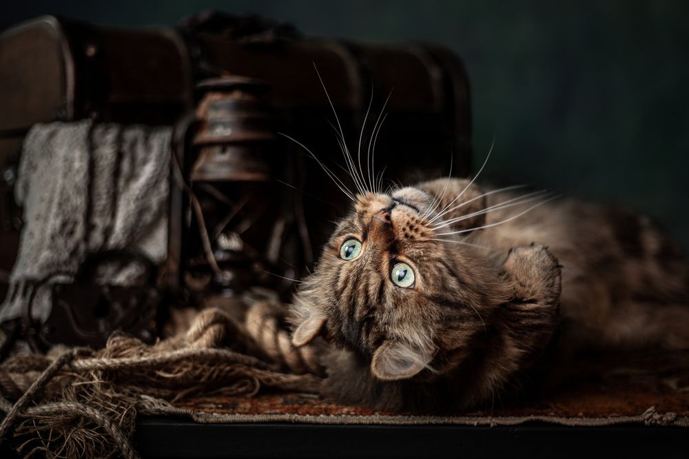 Photograph by Goené Gertrude