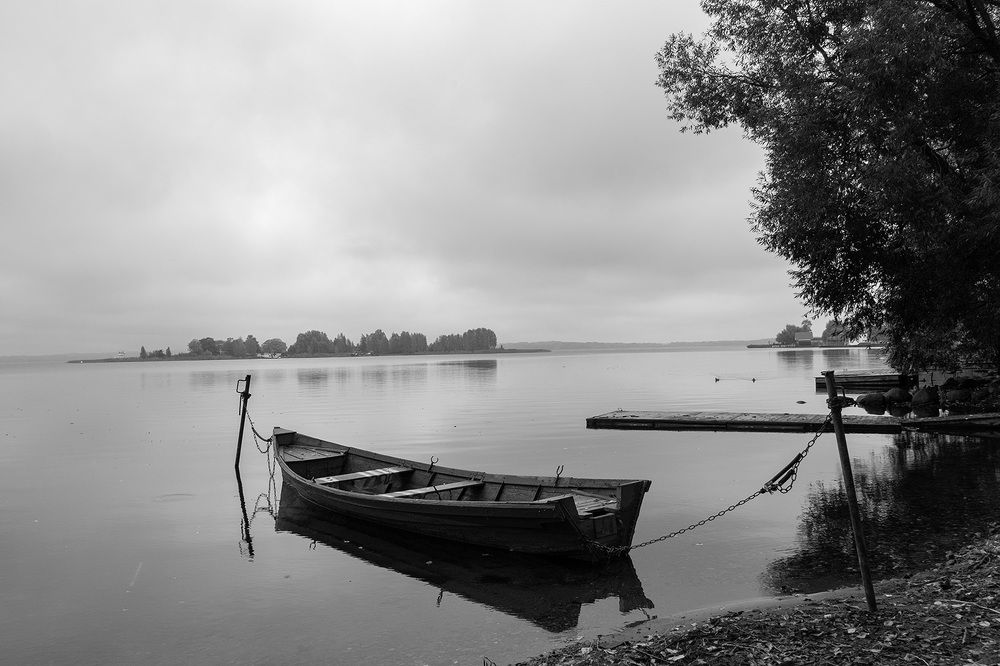 Фотография автора Наталья Липовская