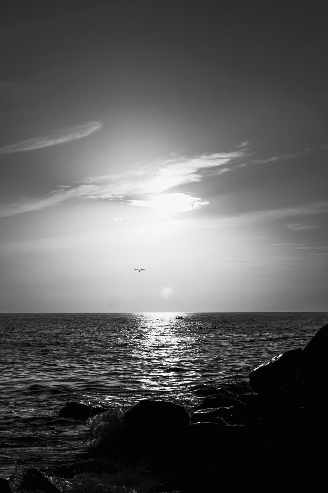 Photograph by Евстратова Оксана