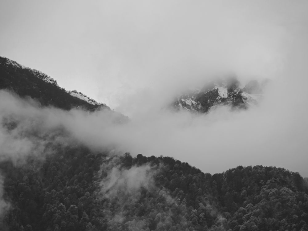 Photograph by Серафима Силина