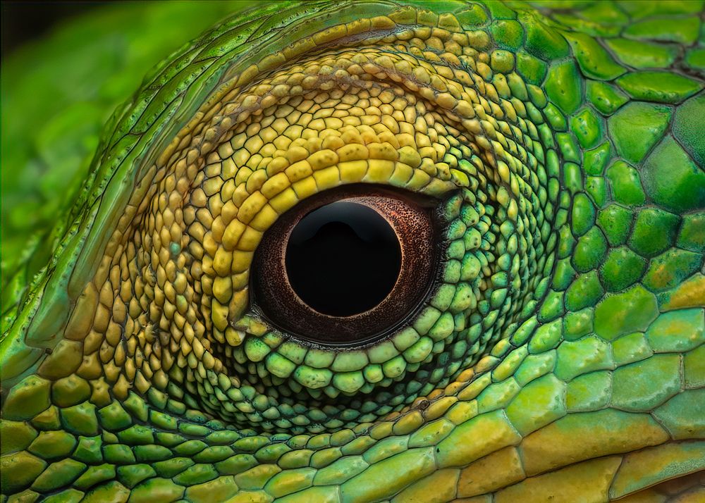 Photograph by Arun Prakash