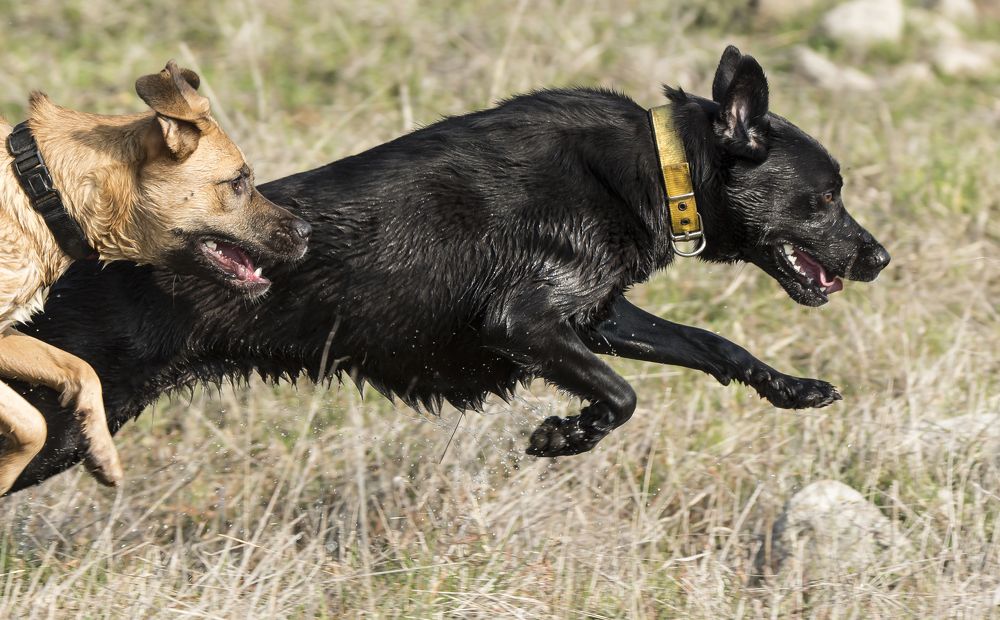 Photograph by Валентина Лопаткина