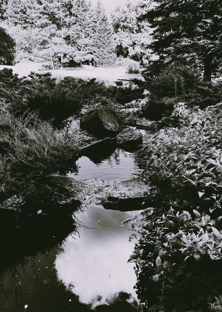 Фотография автора Сергей Демидов