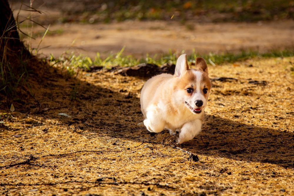 Фотография автора Станислава Гордеева