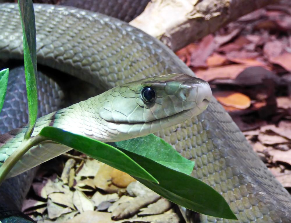 Photograph by Сергей Маслов