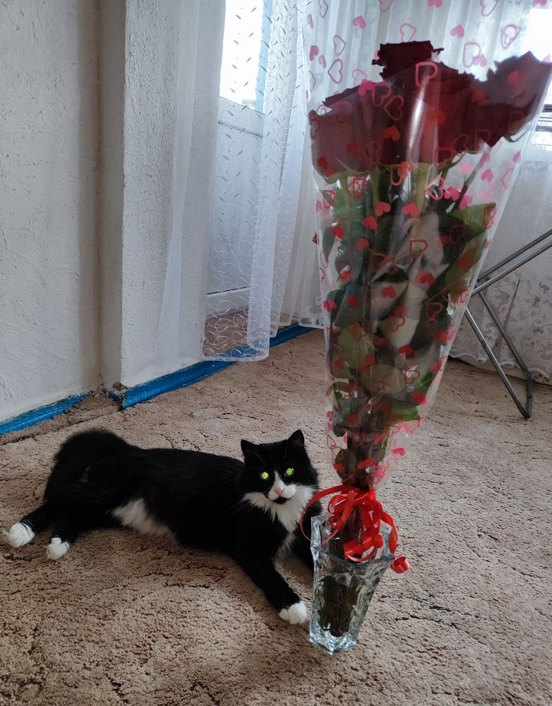 Photograph by Анна Напримерова
