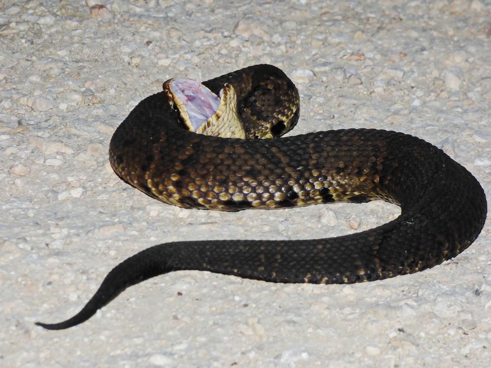 Photograph by Сергей Маслов