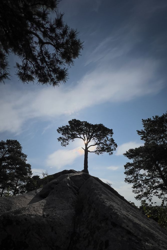 Photograph by Матвей Краузе