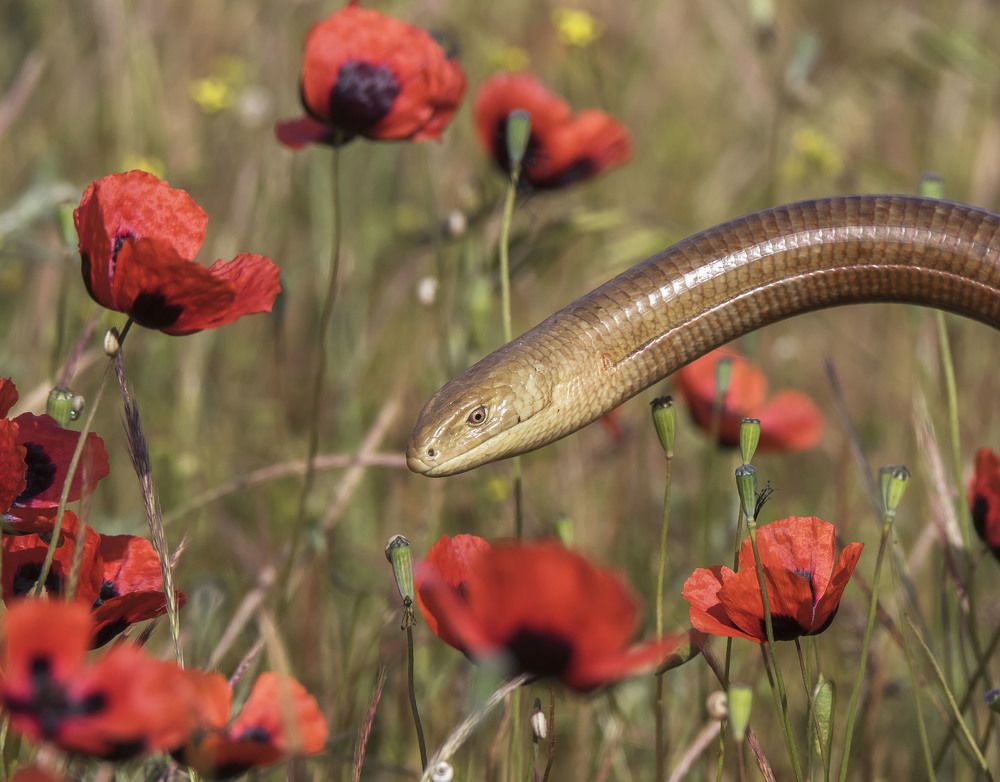 Photograph by Валентина Лопаткина