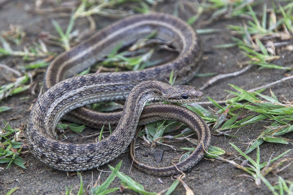 Photograph by Валентина Лопаткина