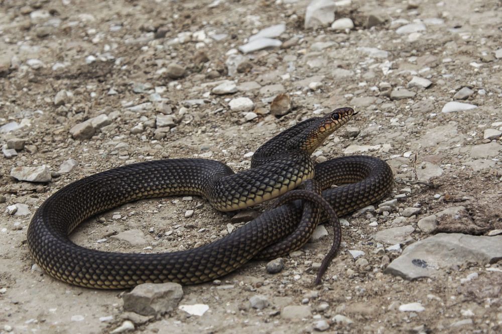 Photograph by Валентина Лопаткина