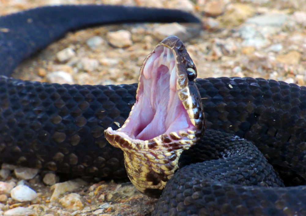 Photograph by Сергей Маслов