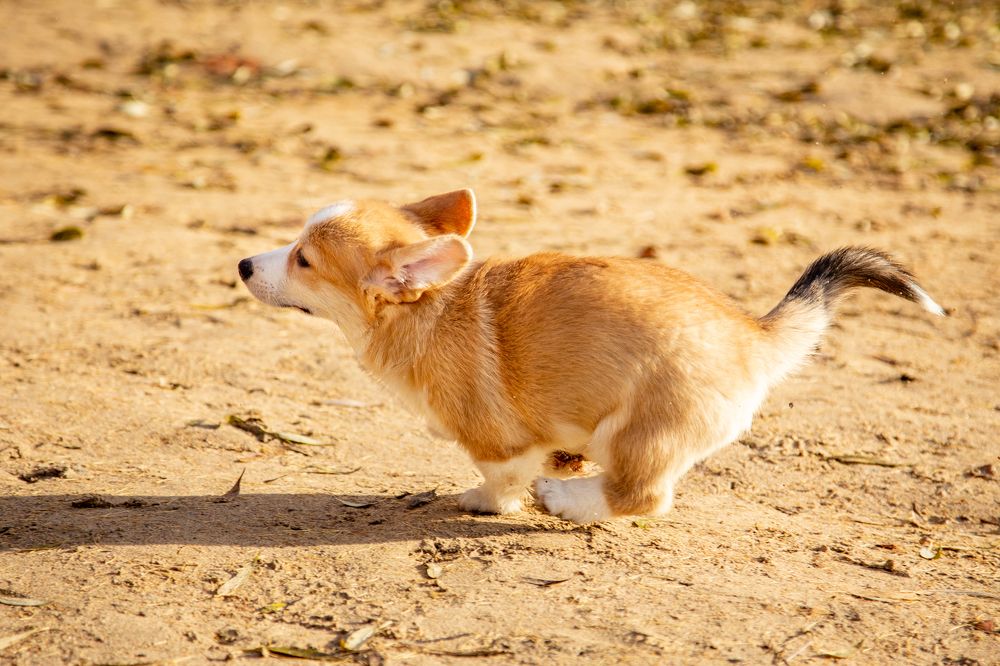 Фотография автора Станислава Гордеева