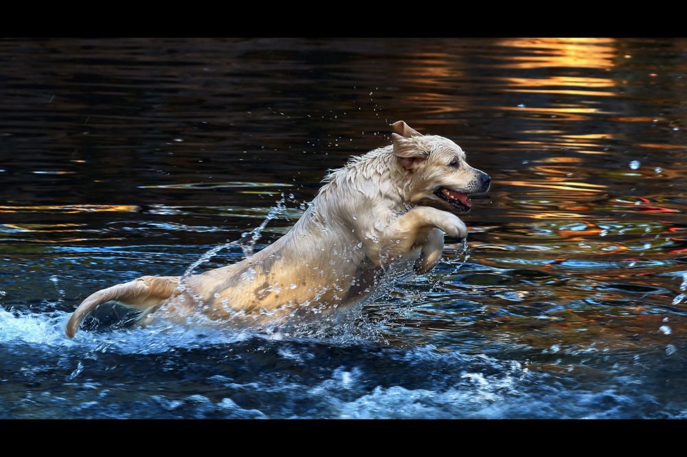 Photograph by Богданов Олег