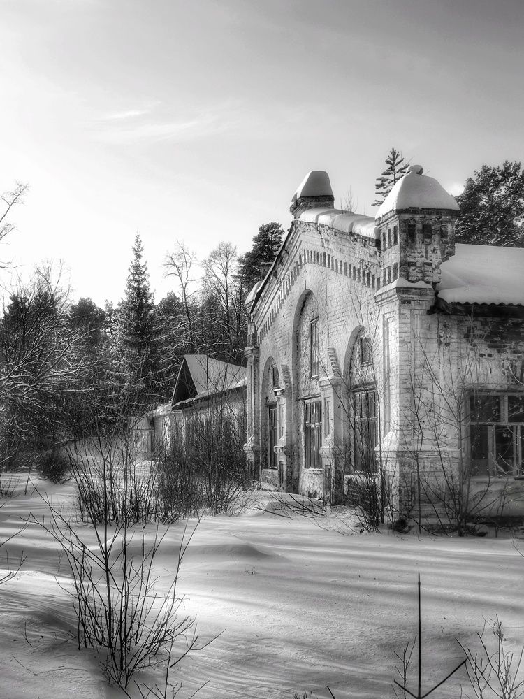 Фотография автора Анатолий Нифантов