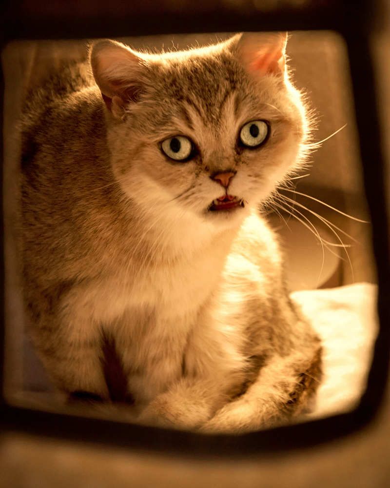 Photograph by Denys Zhytkevych