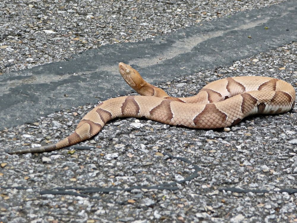 Photograph by Сергей Маслов