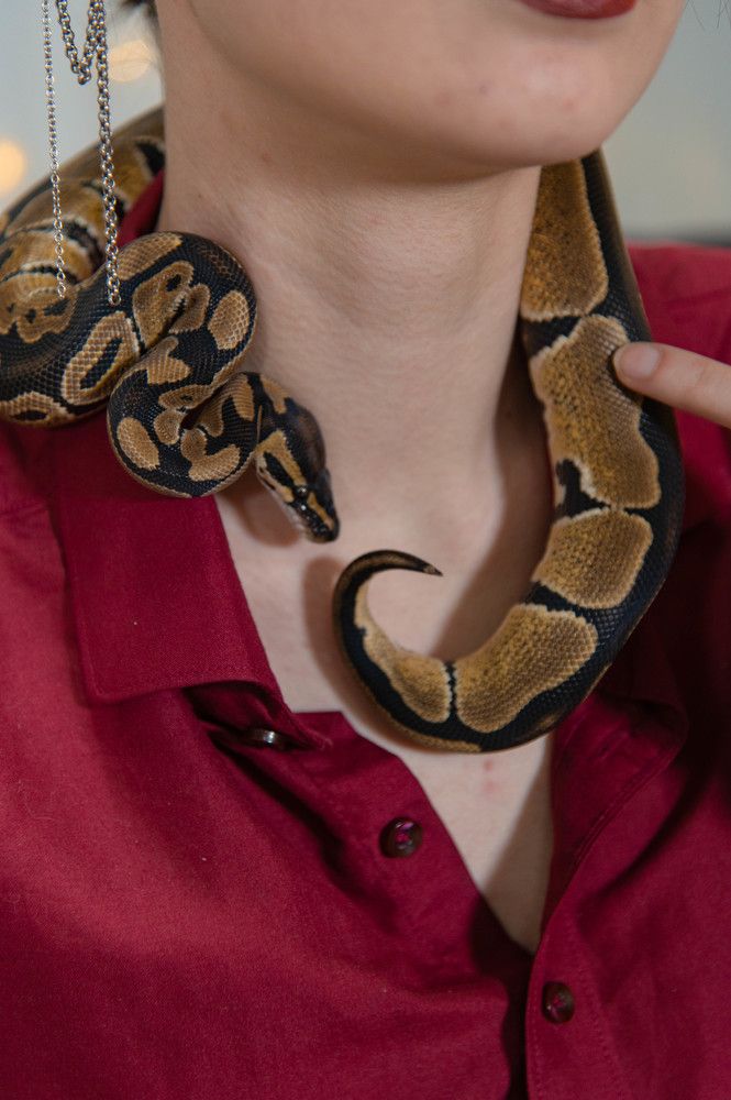 Photograph by Ольга Ельчанинова