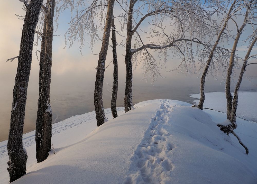 Photograph by Александр Попов