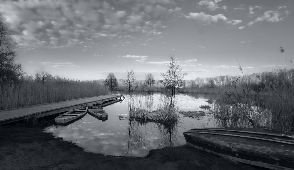 Летний вечер