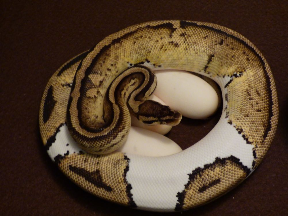 Photograph by Сергей Маслов