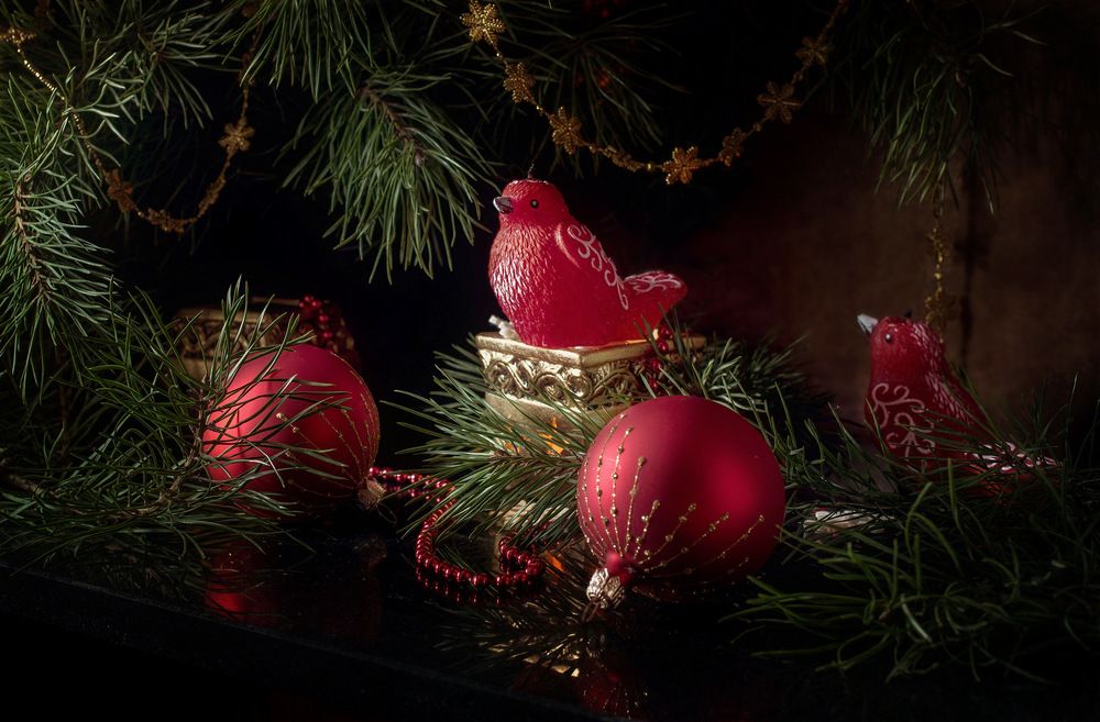 Photograph by Рюмина Ляля