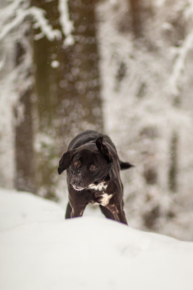 Photograph by Larissa Lohmann