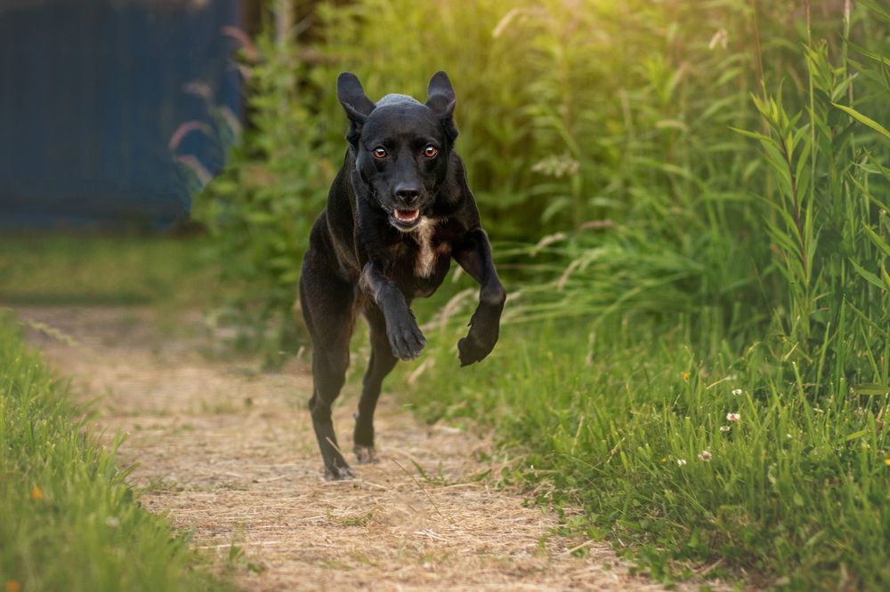 Photograph by Larissa Lohmann