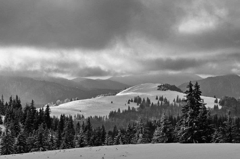 Photograph by Milan Cernak