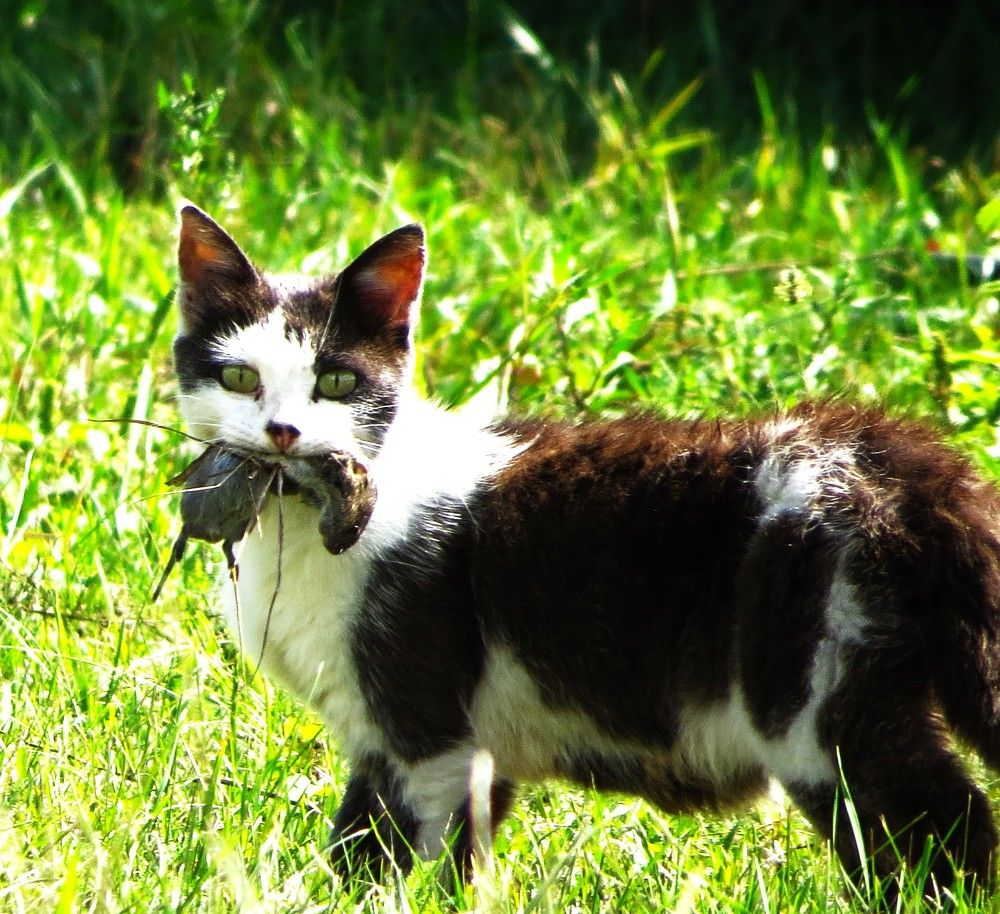 Photograph by Лариса Басова