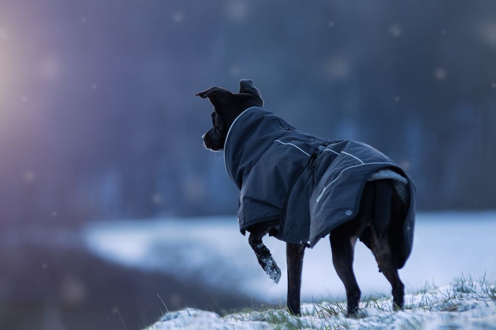 Photograph by Larissa Lohmann