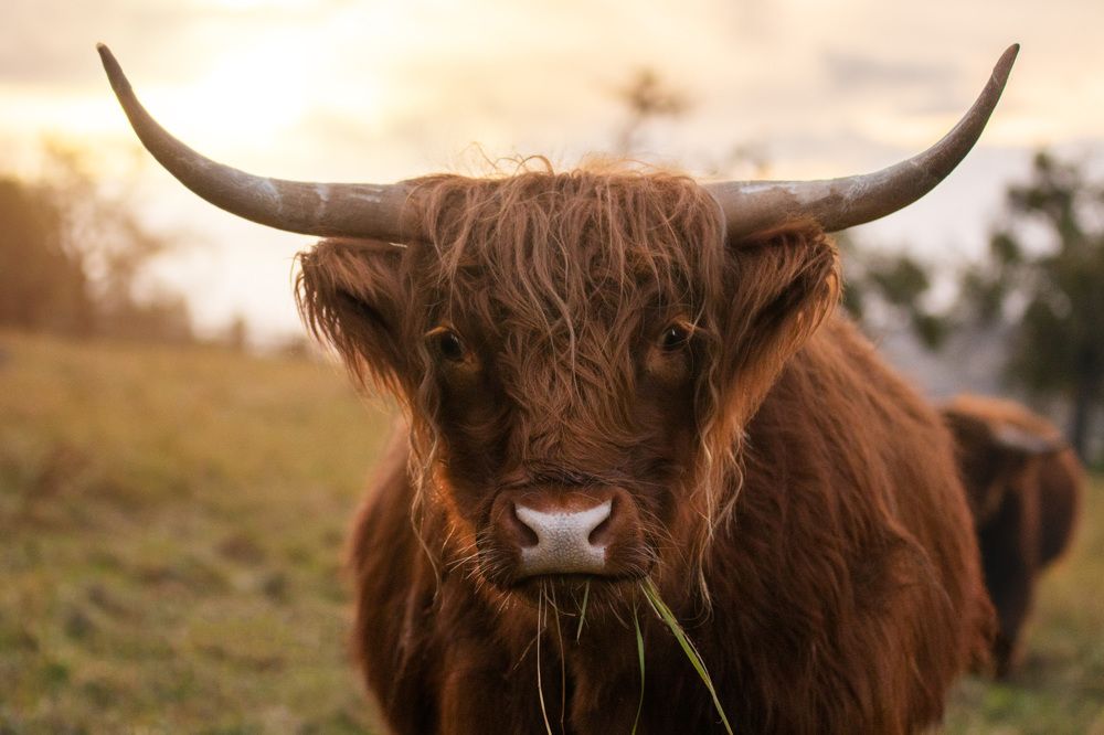 Photograph by Larissa Lohmann