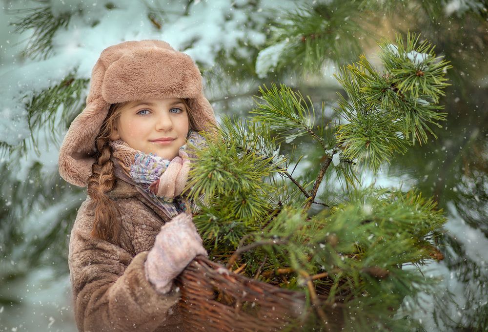 В лесу с елочками