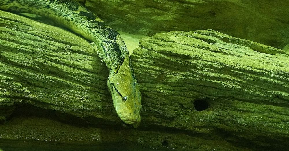 Photograph by Светлана Логинова