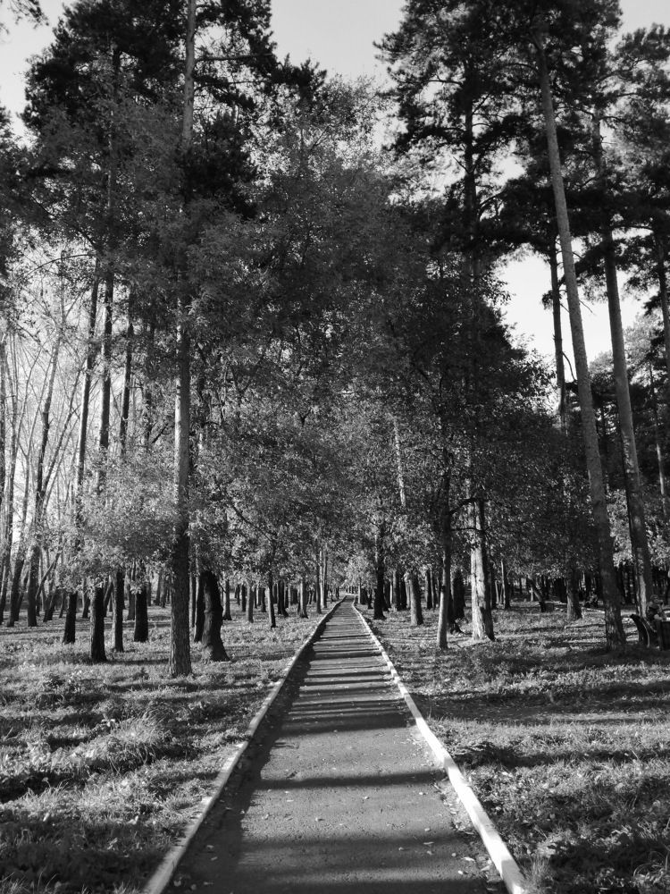 Photograph by Наталия